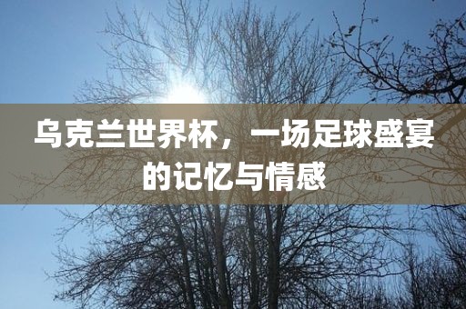 乌克兰世界杯，一场足球盛宴的记吉安市靖泰电力工程有限公司忆与情感