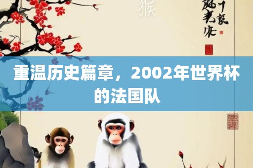 重温历史篇章，2002年世界杯的法国队