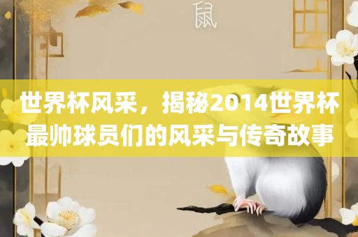 世界杯风采，揭秘2014世界杯最帅球员们的风采与传奇故事