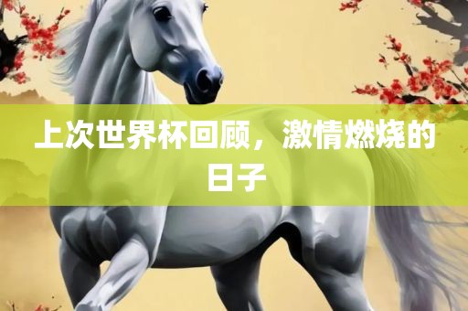 上次世界杯回顾，激情燃烧的日子吉安市靖泰电力工程有限公司