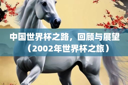 中国世界杯之路，回顾与展望（2002年世界杯之旅）