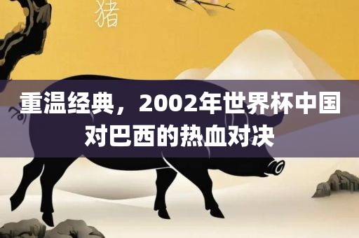 重温经典，2002年世界杯中国对巴西的热血对决