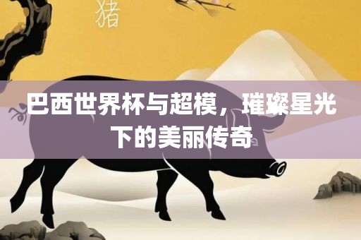 巴西世界杯与超模，璀璨星光下的美丽传奇