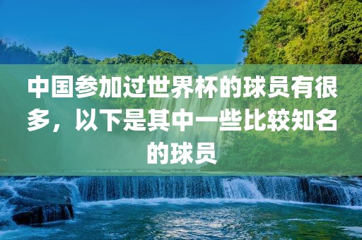 中国参加过世界杯的球员有很多，以下是其中一些比较知名的球员