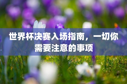 世界杯决赛入场指南，一切你需要注意的事项
