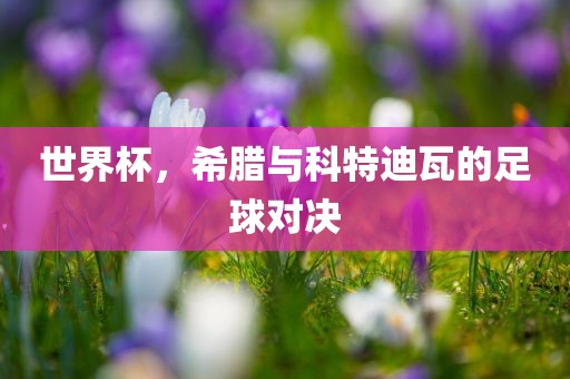 世界杯，希腊与科特迪瓦的足球对决
