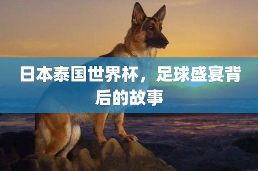 日本泰国世界杯，足球盛宴背后的故事