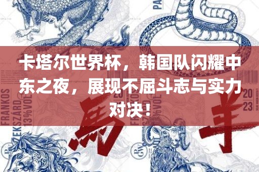 卡塔尔世界杯，韩国队闪耀中东之夜，展现不屈斗志与实力对决！