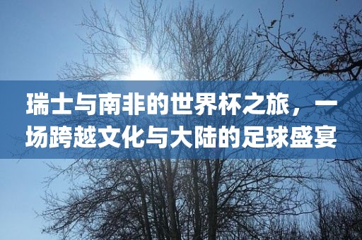 瑞士与南非的世界杯之旅，一场跨越文化与大陆的足球盛宴