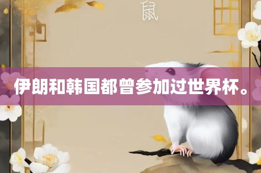 伊朗和韩国都曾参加过世界杯。