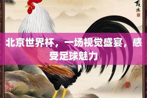 北京世界杯，一场视觉盛宴，感受足球魅力