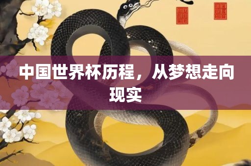 中国世界杯历程，从梦想走向现实