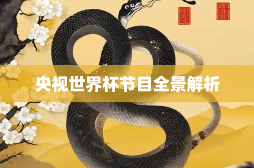 央视世界杯节目全景解析