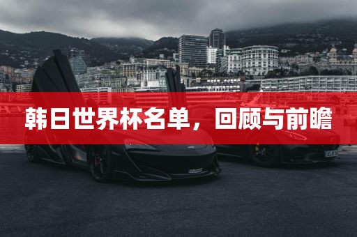 韩日世界杯名单，回顾与前瞻