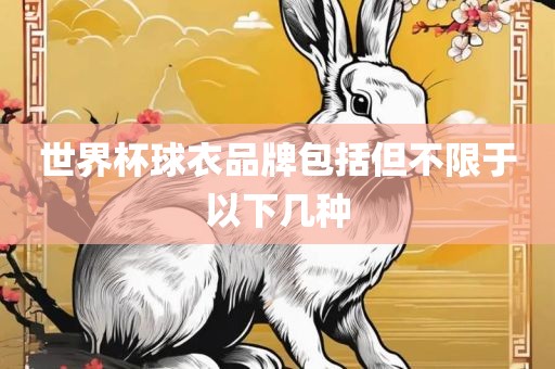 世界杯球衣品牌包括但不限于以下几种