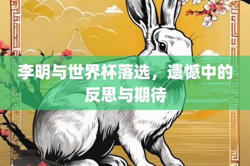 李明与世界杯落选，遗憾中的反思与期待
