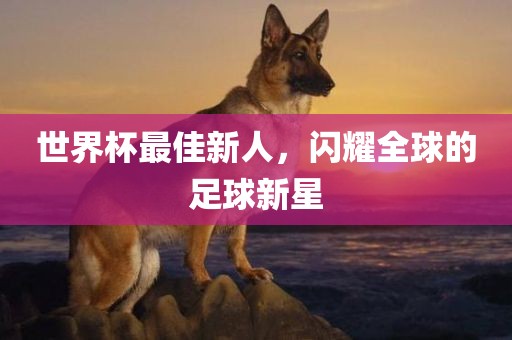 世界杯最佳新人，闪耀全球的足球新星