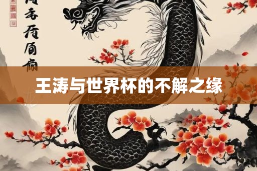 王涛与世界杯的不解之缘