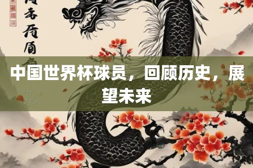 中国世界杯球员，回顾历史，展望未来