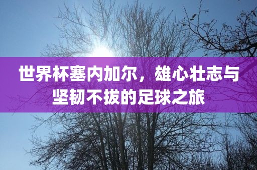 吉安市靖泰电力工程有限公司世界杯塞内加尔，雄心壮志与坚韧不拔的足球之旅
