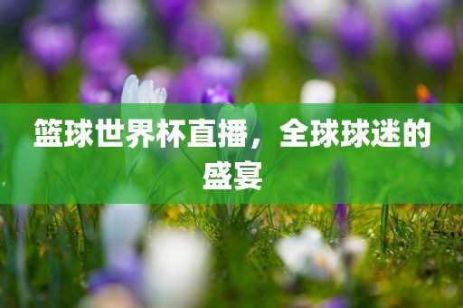 篮球世界杯直播，全球球迷的盛宴