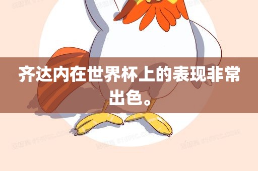 齐达内在世界杯上的表现非常出色。吉安市靖泰电力工程有限公司
