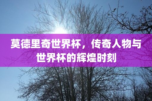 xinyu 第7页