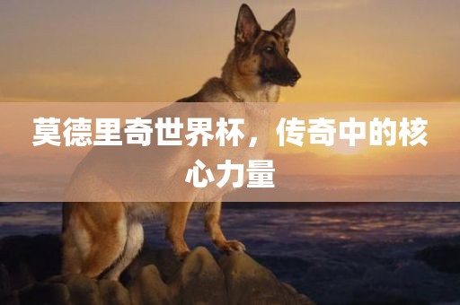 莫德里奇世界杯，传奇中的核心力量