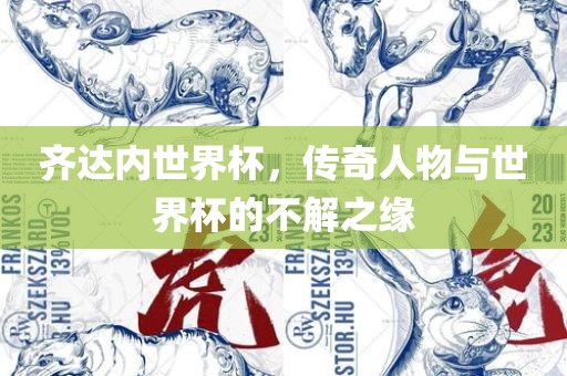 齐达内世界杯，传奇人物与世界杯的不解之缘吉安市靖泰电力工程有限公司