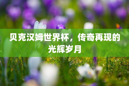 贝克汉姆世界杯，吉安市靖泰电力工程有限公司传奇再现的光辉岁月