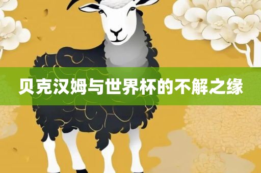 贝克汉姆与世界杯的不解之缘