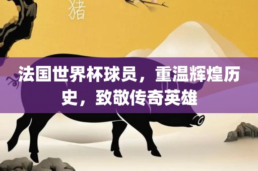 法国世界杯球员，重温辉煌历史，致敬传奇英雄