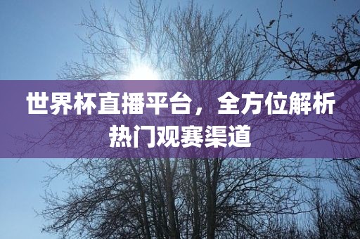世界杯直播平台，全方位解析热门观赛渠道吉安市靖泰电力工程有限公司