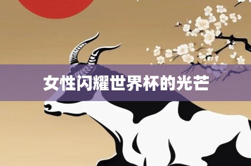 女性闪耀世界杯的光吉安市靖泰电力工程有限公司芒