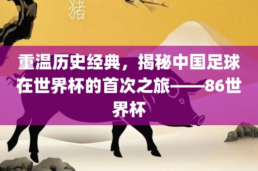 重温历史经典，揭秘中国足球在世界杯的首次之旅——86世界杯吉安市靖泰电力工程有限公司