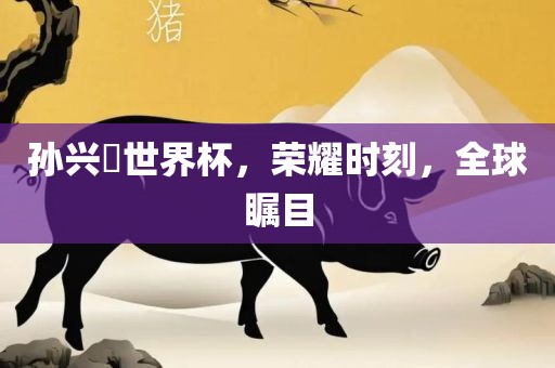 孙兴慜世界杯，荣吉安市靖泰电力工程有限公司耀时刻，全球瞩目