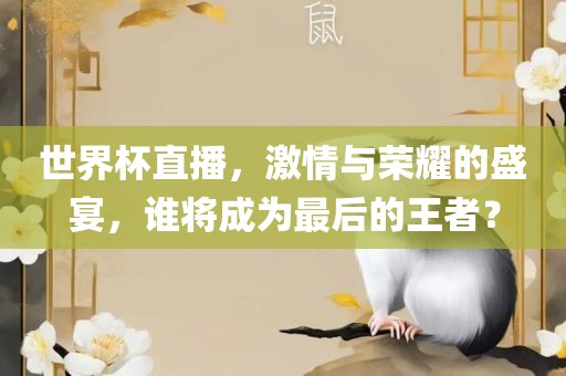 世界杯直播，激情与荣耀的盛宴，谁将成为最后的王者？