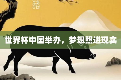世界杯中国举办，梦想照进现实