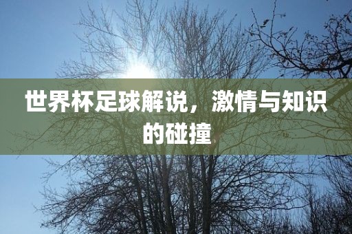 世界杯足球解说，激情与知识的碰撞