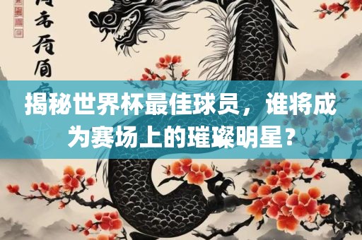 揭秘世界杯最佳球员，谁将成为赛场上的璀璨明星？