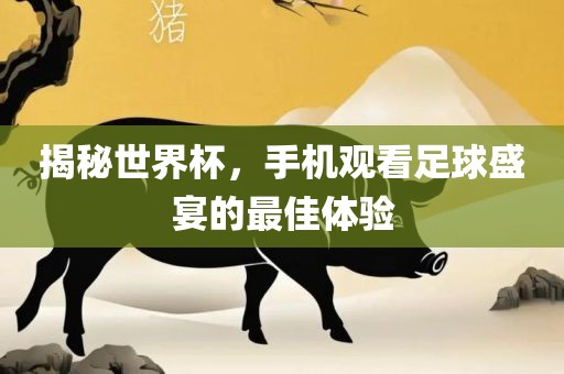揭秘世界杯吉安市靖泰电力工程有限公司，手机观看足球盛宴的最佳体验
