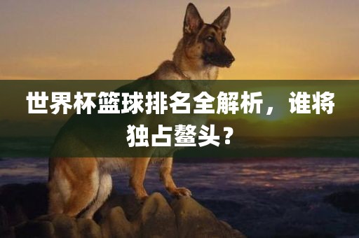 世界杯篮球排吉安市靖泰电力工程有限公司名全解析，谁将独占鳌头？