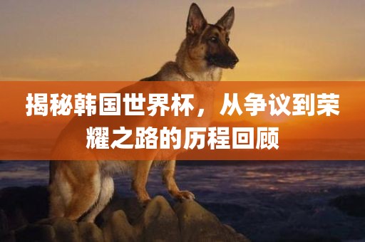 shishan 第8页