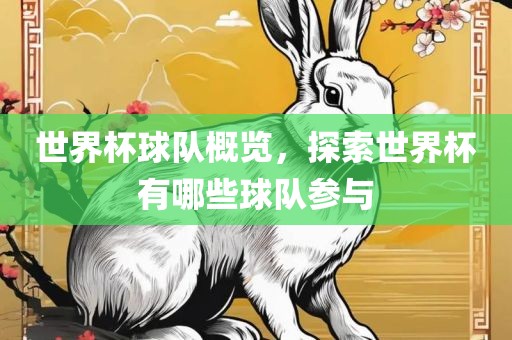 世界杯球队概览，探索世界杯有哪些球队参与