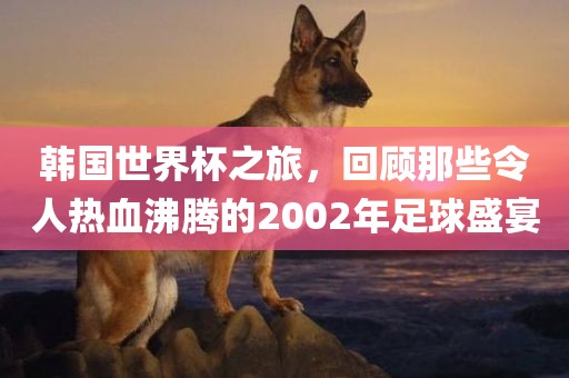 韩国世界杯之旅，回顾那些令人热血沸腾的2002年足球盛宴吉安市靖泰电力工程有限公司