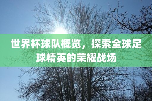 世界杯球队概览，探索全球足球精英的荣耀战场