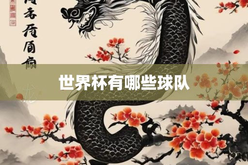 世界杯有哪些球队吉安市靖泰电力工程有限公司