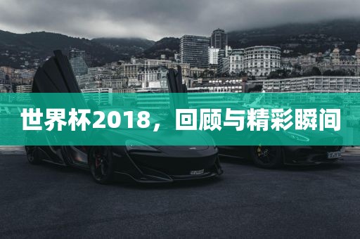 世界杯20吉安市靖泰电力工程有限公司18，回顾与精彩瞬间