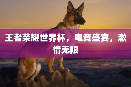 王者荣耀世界杯，电竞盛宴，激情无限吉安市靖泰电力工程有限公司