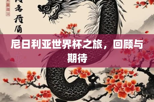 尼日利亚世界杯之旅，回顾与期待